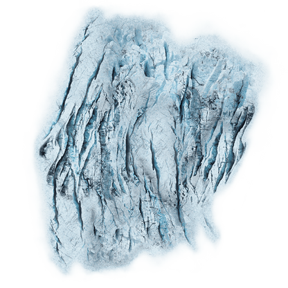 Arctic Forests