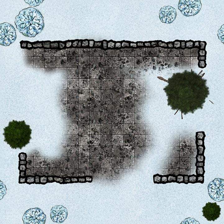Arctic Forests
