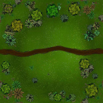Forbidden Forest