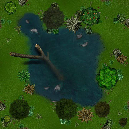 Forbidden Forest