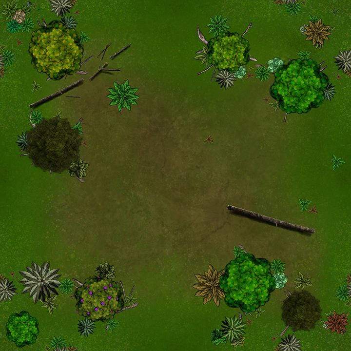 Forbidden Forest
