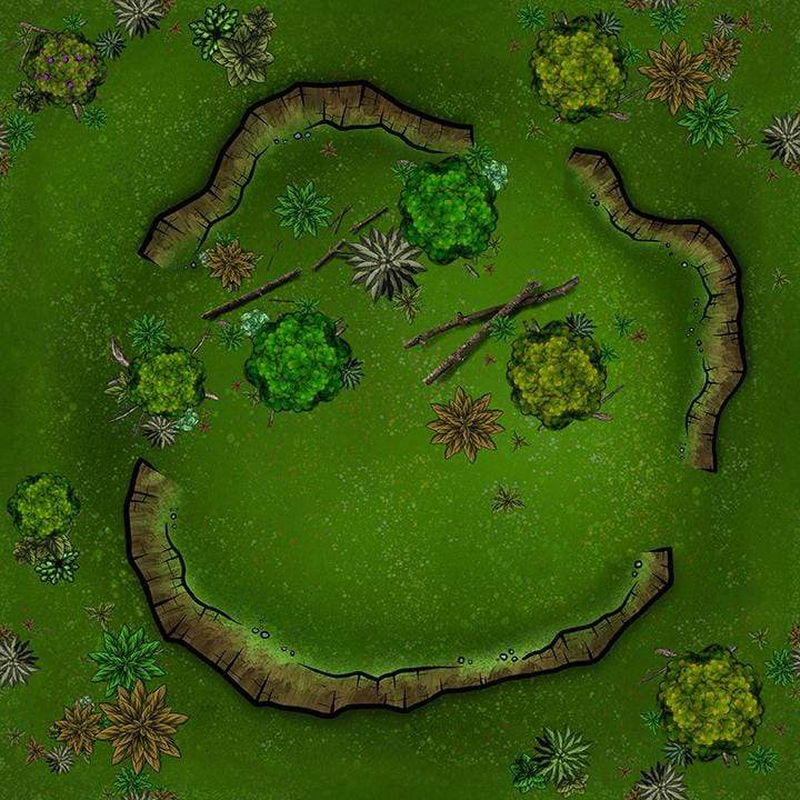 Forbidden Forest