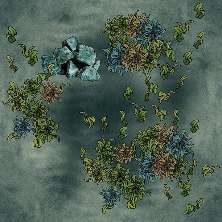 Lakes, Oceans, & Sea Floors