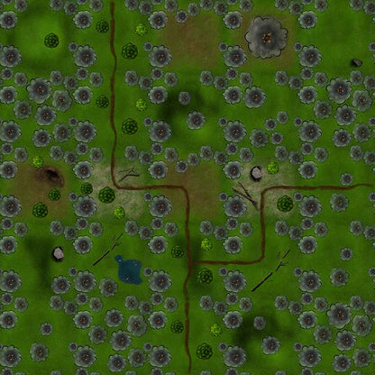 Massive Maps 1