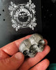 Conjoined Twins Skull  Magnet, Hand Painted Resin Sculpture | Gothic Fantasy Decor | Conjoined Skull Magnet for Fantasy and Gothic Decor