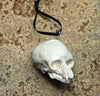 Werewolf Fetal Skull Ornament, Resin Sculpture | Gothic Fantasy Skull Figurine | Werewolf Skull Ornament for Fantasy and Gothic Decor