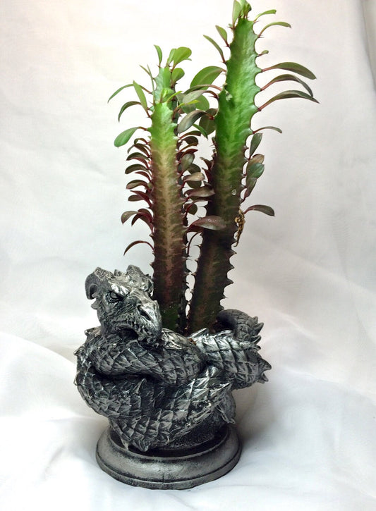 Coiled Dragon Planter, Pewter Finish |  Unique Mythic Creature Home Decor | Resin Sculpture Snake Vase, Fantasy Art and Gothic Home Decor