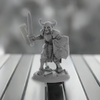 RPR07001B The Undying Miniature 25mm Heroic Scale Figure Dungeon Dwellers