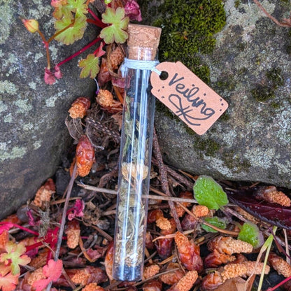 Veiling (Spiritual Invisibility) Spell Vial