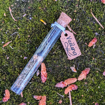 Veiling (Spiritual Invisibility) Spell Vial