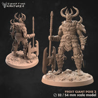 Icewind dale Frost Giant (cursedforge miniatures)