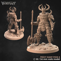 Icewind dale Frost Giant (cursedforge miniatures)