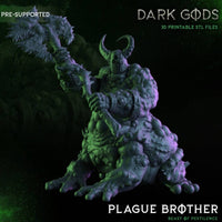 Plague Brother FURY - Dark Gods - 32mm - D&D - pathfinder - tabletop - rpg - fantasy - miniature
