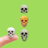 Human skull Miniature (Field Bones #75: Sapians) 1:18 Scale (set of 5)
