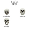 Human skull Miniature (Field Bones #75: Sapians) 1:18 Scale (set of 5)