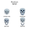 Human Skull with bottom jaw, for 12 inch scale dolls, playhouse, scale dioramas, horror scenes, terrariums. 1:6 scale skull (1 skull)