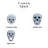 Human skull replica, 1:24 Scale tiny great for dioramas, miniature horror props, dice making and dollhouse accessories (set of 5)