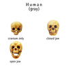 Human skull Miniature (Field Bones #75: Sapians) 1:18 Scale (set of 5)