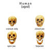 Human skull replica, 1:24 Scale tiny great for dioramas, miniature horror props, dice making and dollhouse accessories (set of 5)