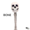 Human skull with Spine, 1:6 scale