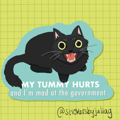 My Tummy Hurts and I'm Mad at the Government - Angry Cat Vinyl Sticker | Dishwasher Safe