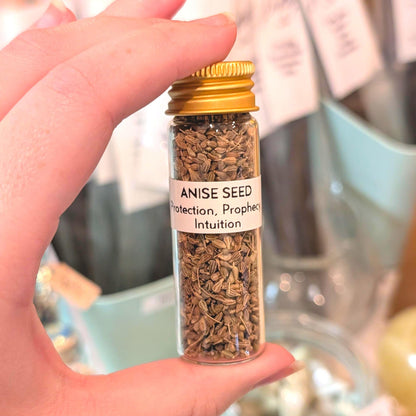 Anise Seed - Protection, Prophecy, & Intuition | 15mL Herb Glass Jar