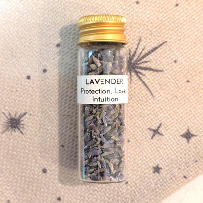 Lavender - Protection, Love, & Intuition | 15mL Herb Glass Jar