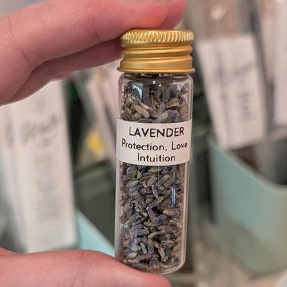 Lavender - Protection, Love, & Intuition | 15mL Herb Glass Jar