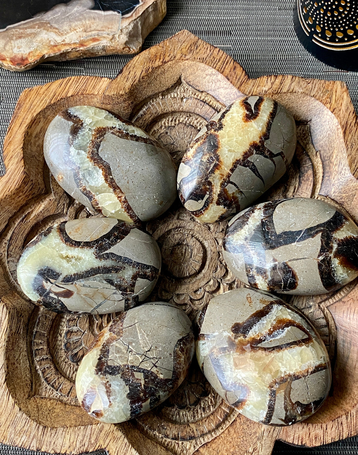 Septarian Palm Stone