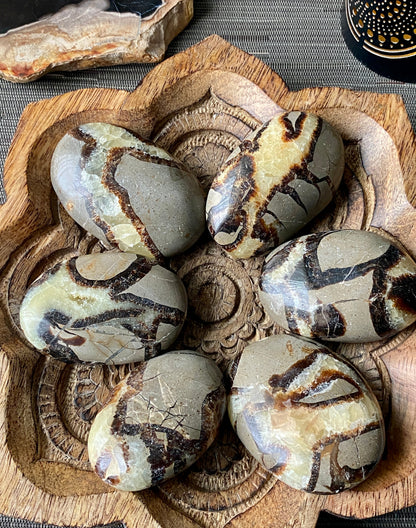 Septarian Palm Stone