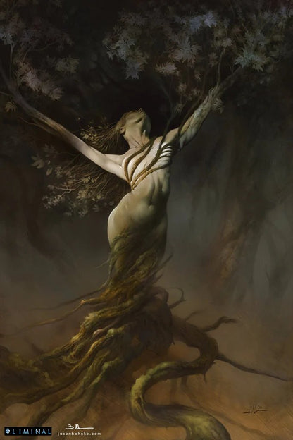 Liminal - Core Book