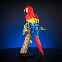 Scarlet Macaw