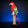 Scarlet Macaw
