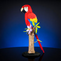 Scarlet Macaw