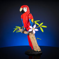 Scarlet Macaw