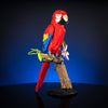 Scarlet Macaw