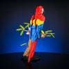Scarlet Macaw
