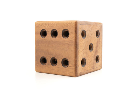 Dice Maze Puzzle – Hidden Marble Escape Brain Teaser