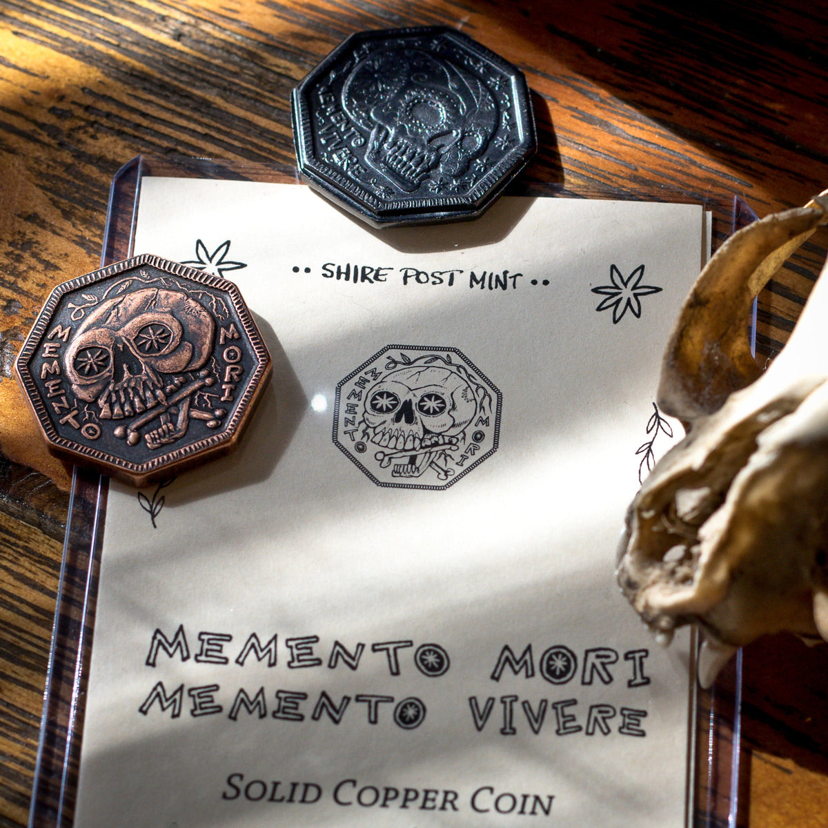 Memento Mori / Memento Vivere Reminder Coin