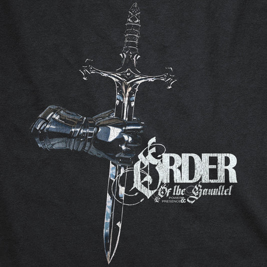 OotG - Paladin Tee