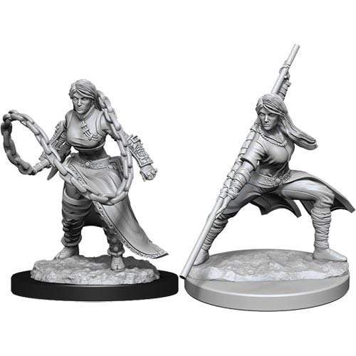 D&D Nolzur's Marvelous Miniatures: Human Monk Female