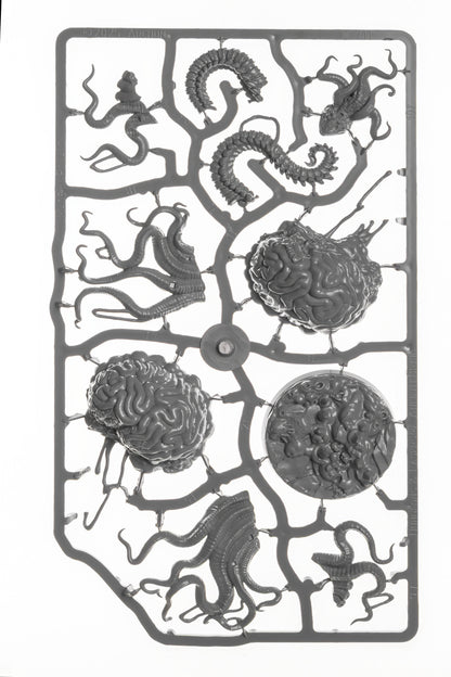 Dungeons & Lasers: Ancient Brain