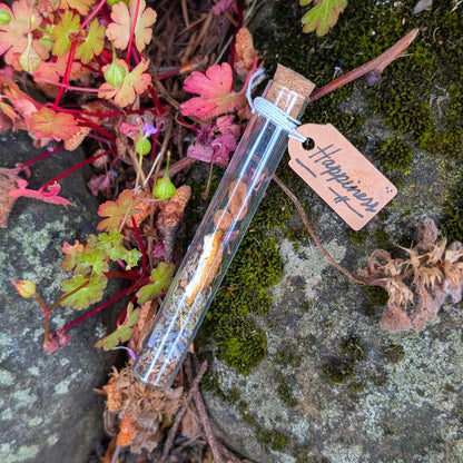 Happiness Spell Vial