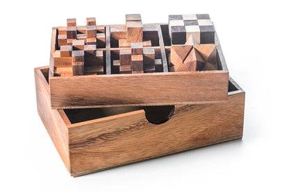 6 STEM Puzzle Gift Set - Wooden Puzzle Brain Teaser