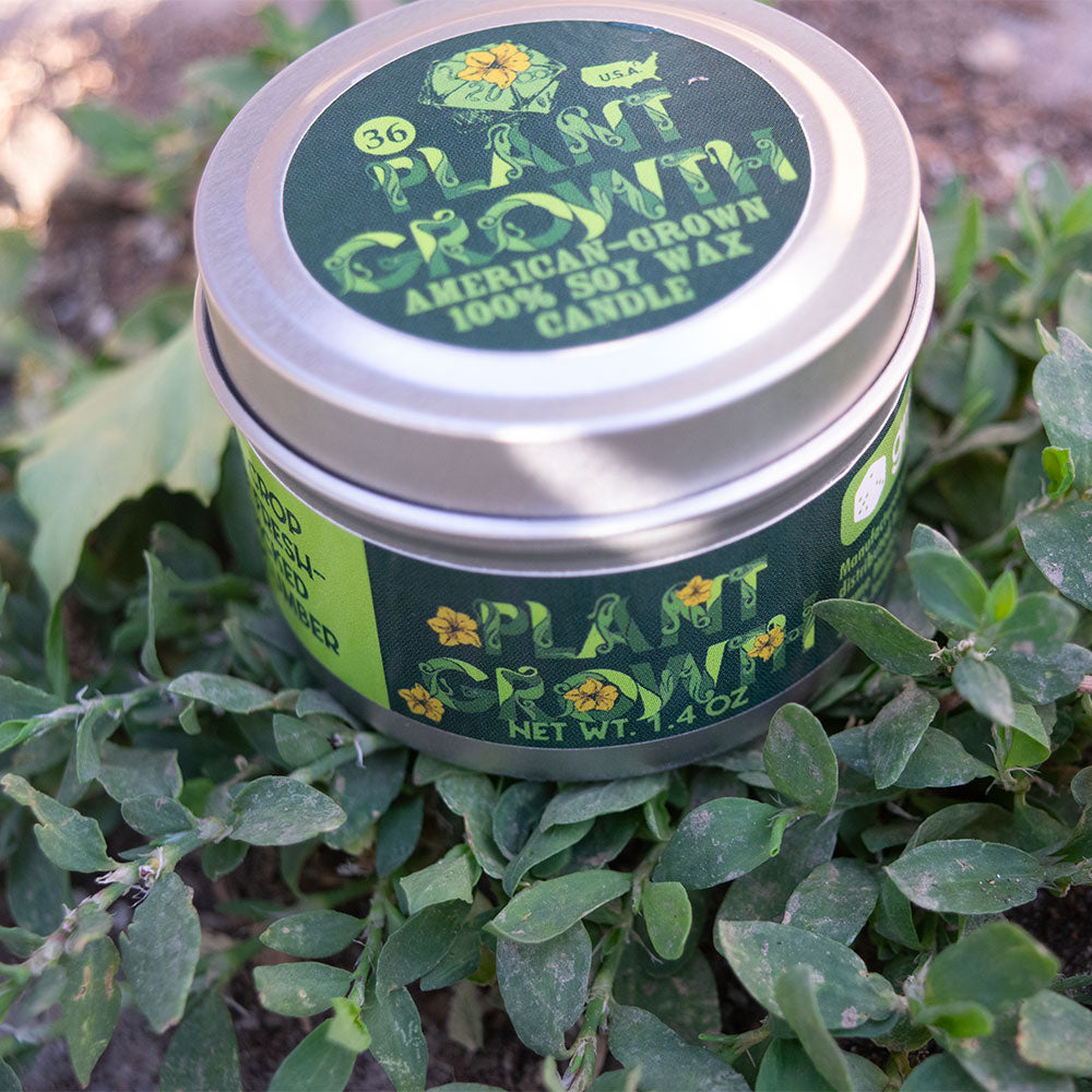 Plant Growth Gaming Candle