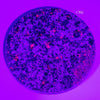 Syenite Disc Slab Coaster (4.5in)