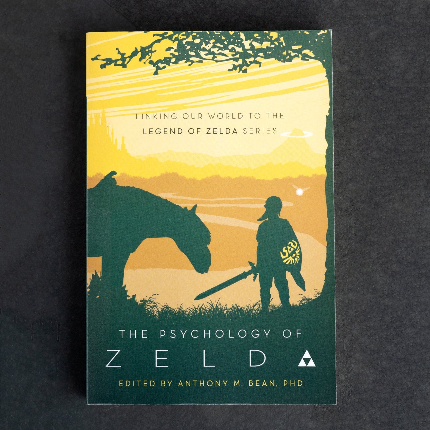 The Psychology of Zelda: Linking Our World to the Legend of Zelda Series