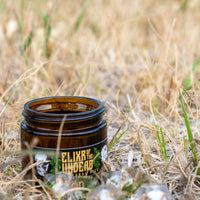 Elixir of the Undead Dice