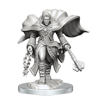 D&D: Nolzur's Marvelous Miniatures - Aasimar Cleric Male