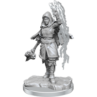 D&D: Nolzur's Marvelous Miniatures - Half-Elf Warlock